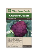 West Coast Seeds Cauliflower - Purple Moon F1