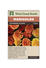 Marigold - Strawberry Blonde