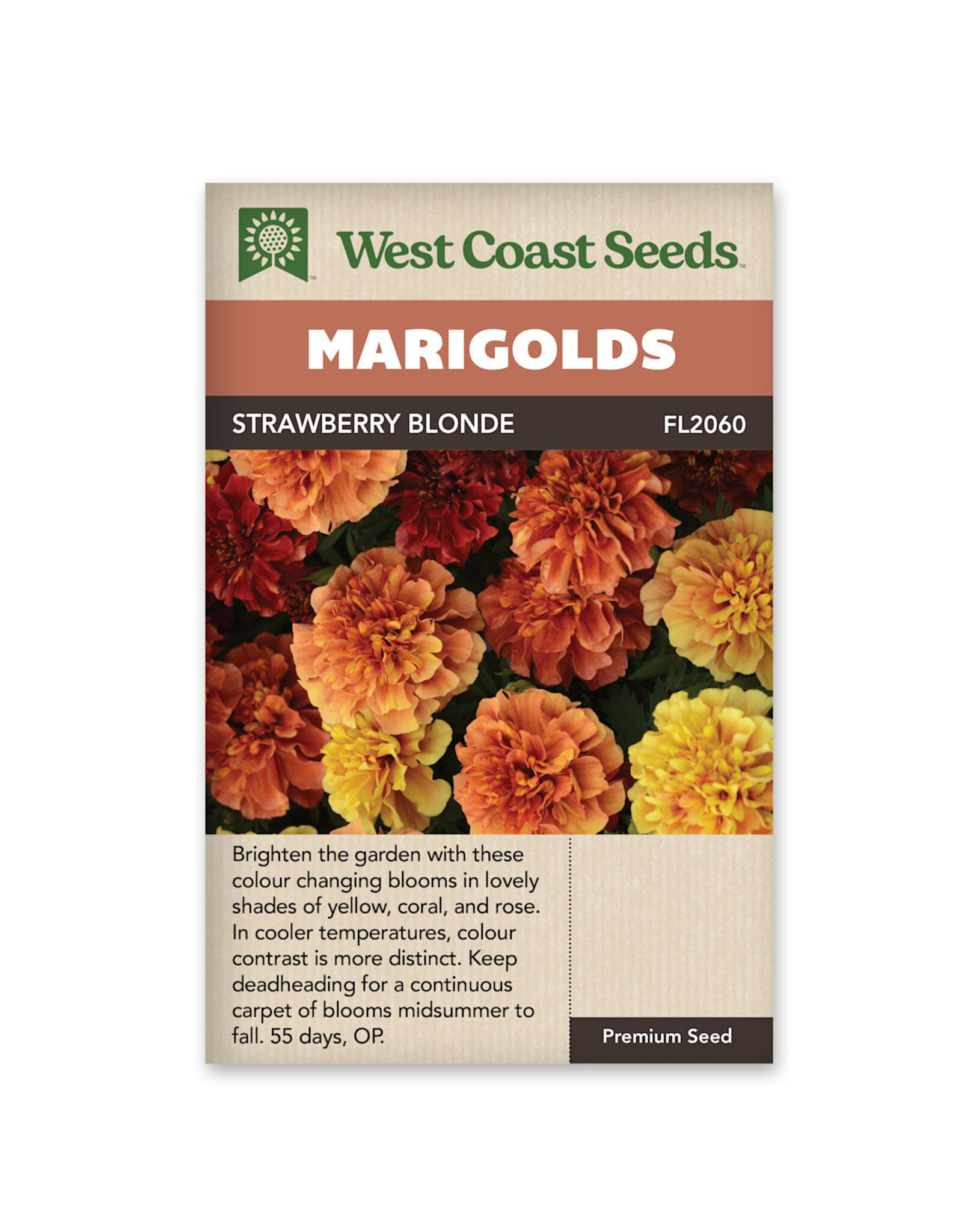 Marigold - Strawberry Blonde