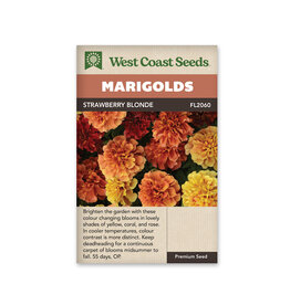 Marigolds - Strawberry Blonde
