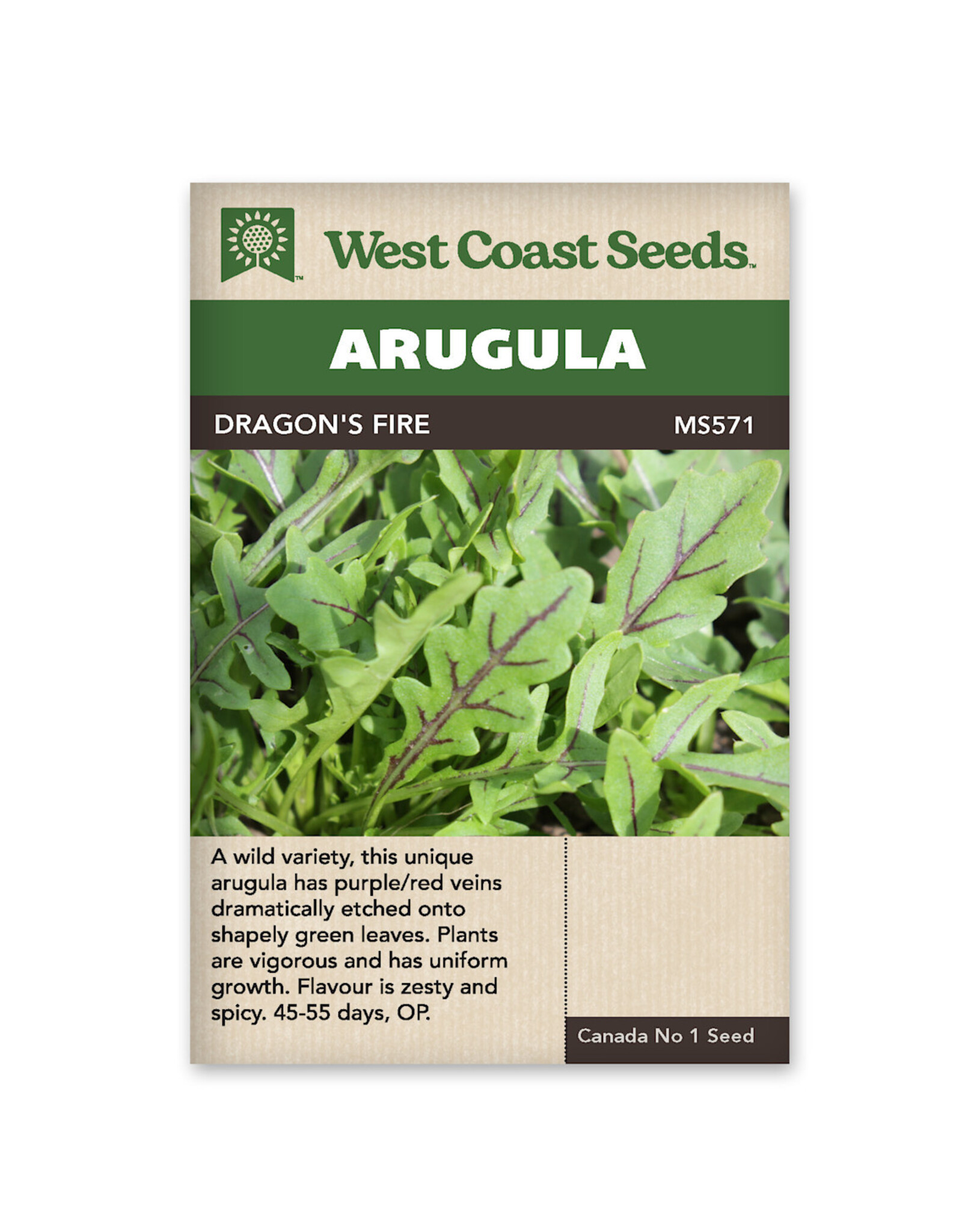 Arugula - Dragon's Fire .5g