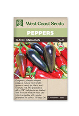 Pepper-Hot - Hungarian Black Organic