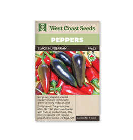Pepper-Hot - Hungarian Black Organic
