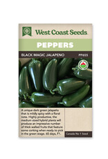 West Coast Seeds Peppers - Black Magic Jalapeno F1 Certified Organic