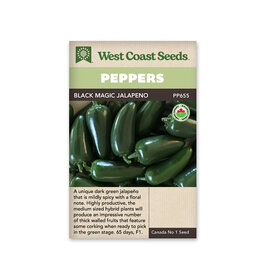 West Coast Seeds Pepper-Hot - Black Magic F1 Organic