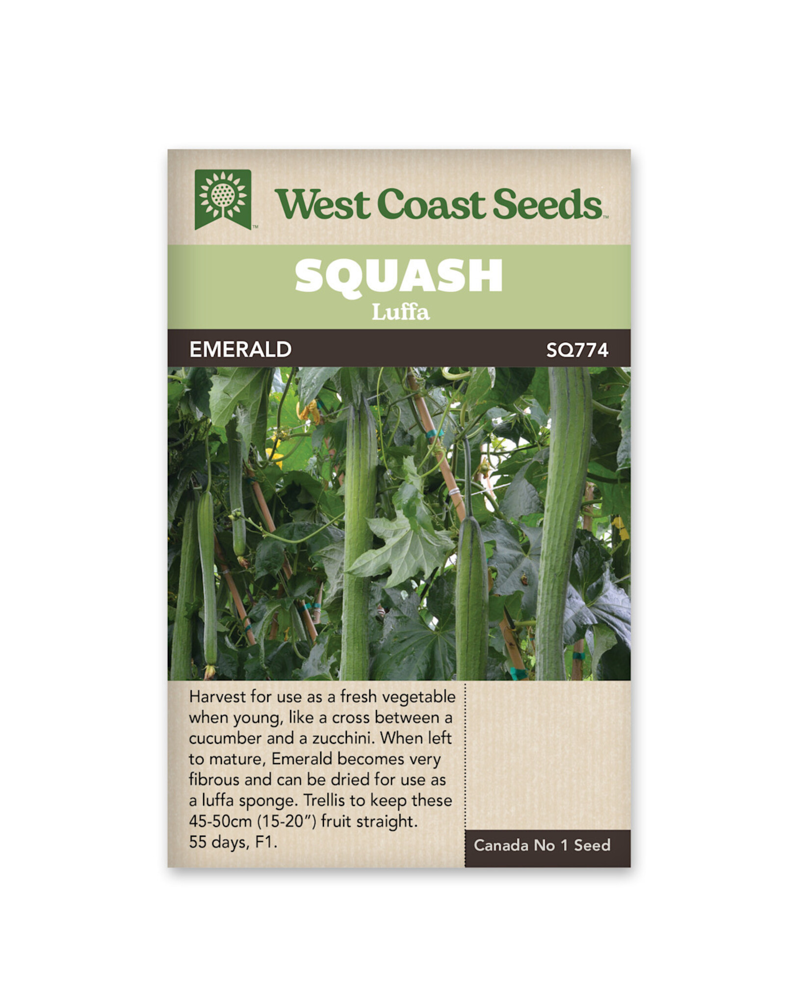 West Coast Seeds Luffa - Emerald F1