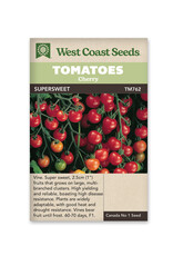 Tomato - Supersweet 100 F1