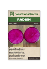 West Coast Seeds Radish - Rido Red F1 A