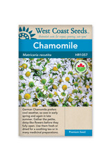 West Coast Seeds German Chamomile Organic Certified A