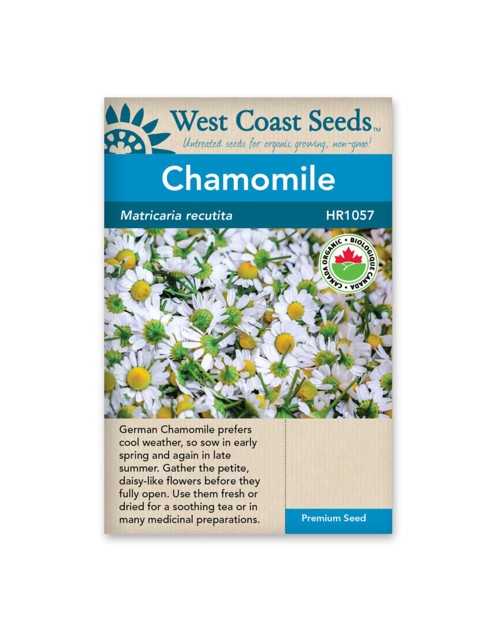West Coast Seeds German Chamomile Organic Certified A