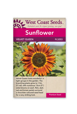 West Coast Seeds Sunflower - Velvet Queen A