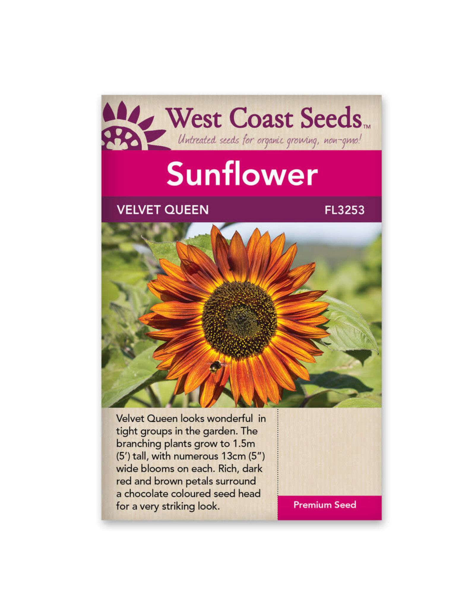 West Coast Seeds Sunflower - Velvet Queen A