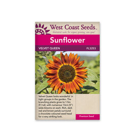 West Coast Seeds Sunflower - Velvet Queen A