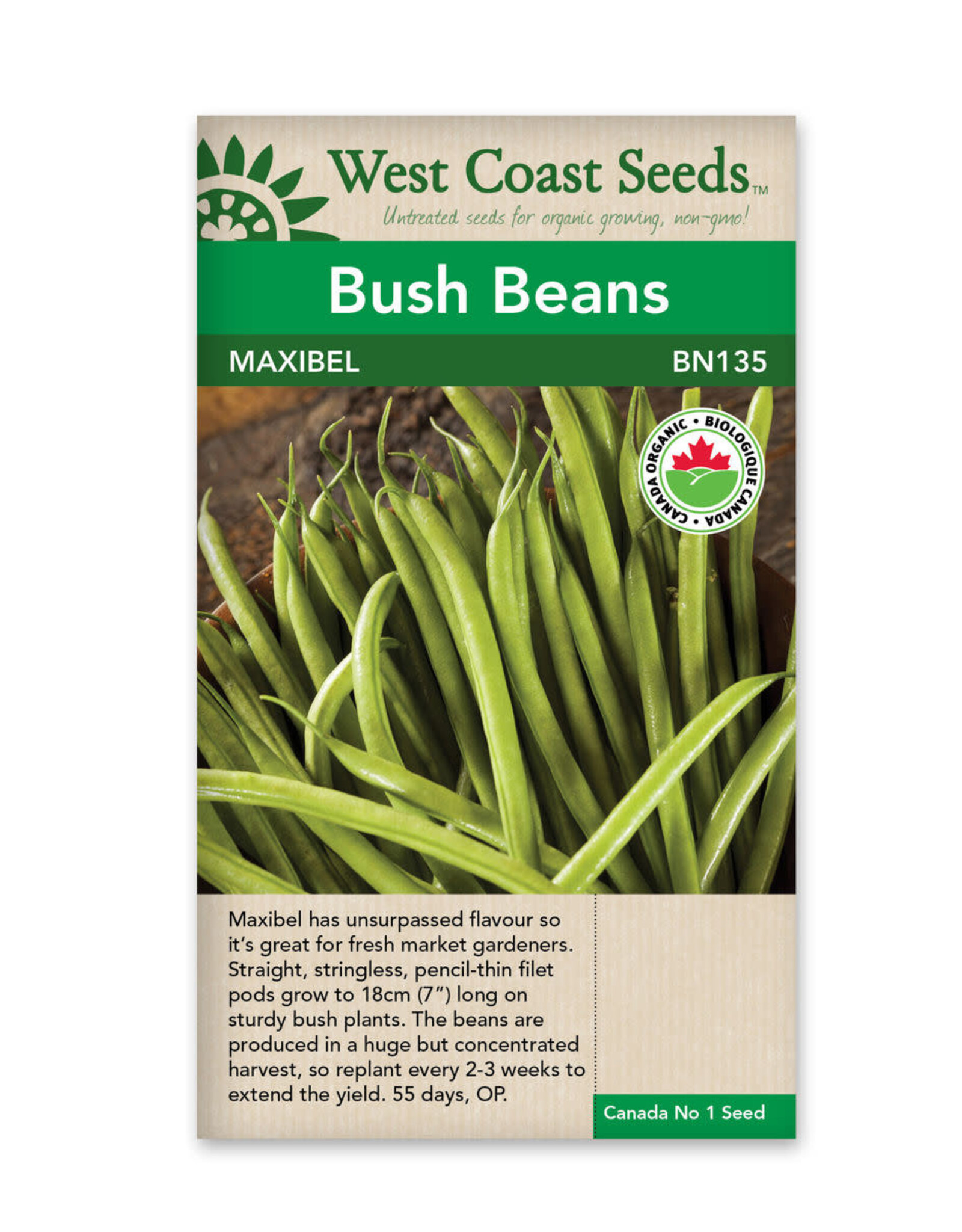 West Coast Seeds Bean - Bush - Maxibel Filet Organic Certified A
