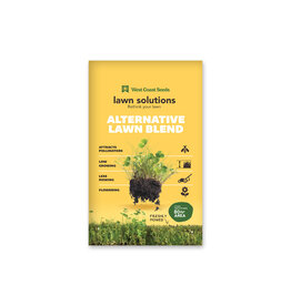 Alternative Lawn Mix