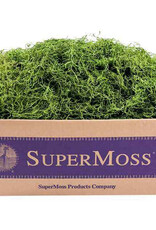Spanish Moss Preserved Grass 2oz Bag