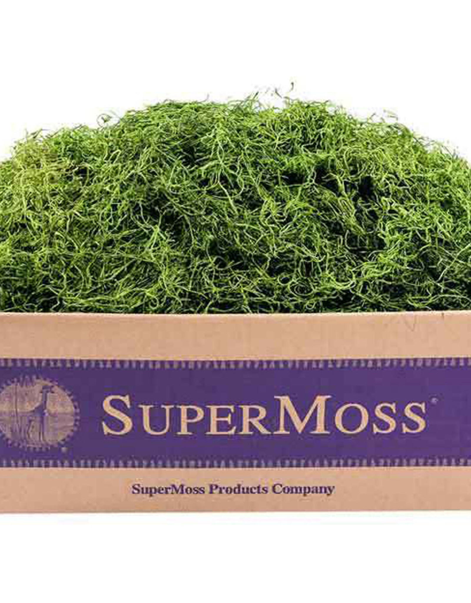 Spanish Moss Preserved Grass 2oz Bag