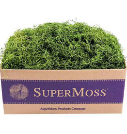 Spanish Moss Preserved Grass 2oz Bag
