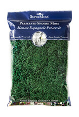 Spanish Moss Preserved Grass 8oz Bag