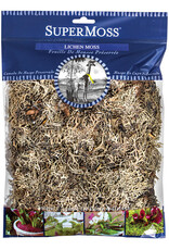 Lichen Parmelia Natural Grey 108 Cu In