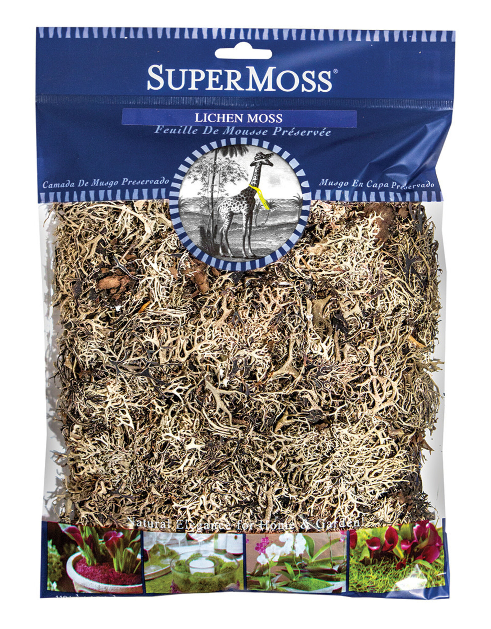 Lichen Parmelia Natural Grey 108 Cu In