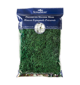 Forest Moss Preserved Fresh Green 2oz Bag