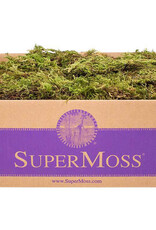 Forest Moss Dried Natural Green 2oz Bag