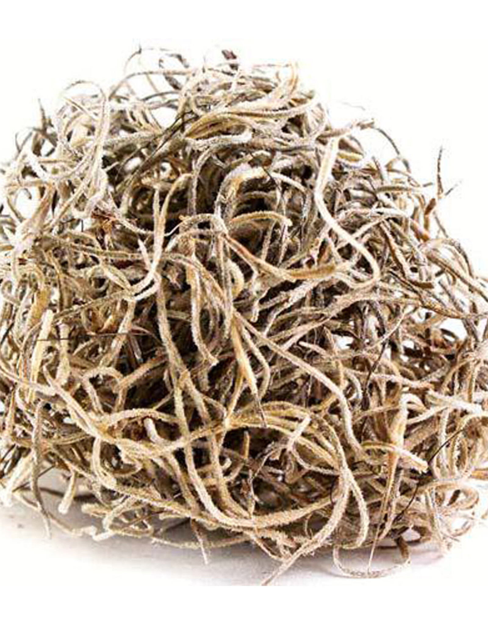 Spanish Moss Preserved Natural 2oz Bag