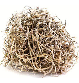 Spanish Moss Preserved Natural 2oz Bag