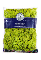 Reindeer Moss Preserved Chartreuse 8oz Bag
