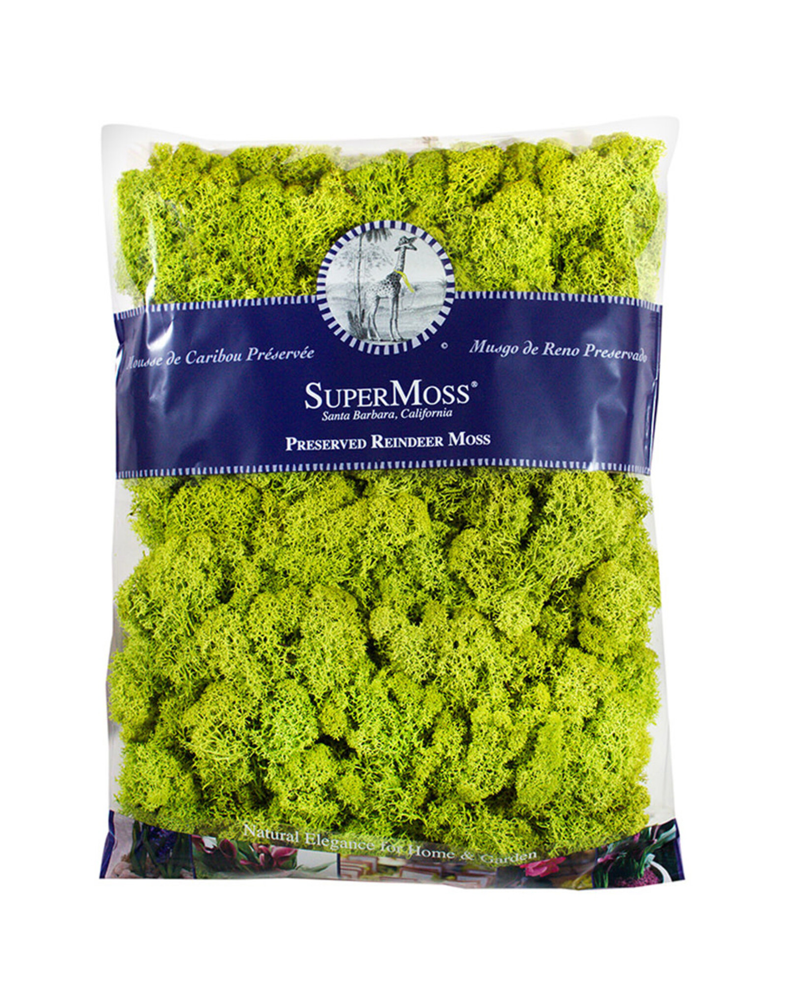 Reindeer Moss Preserved Chartreuse 8oz Bag