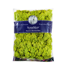 Reindeer Moss Preserved Chartreuse 8oz Bag