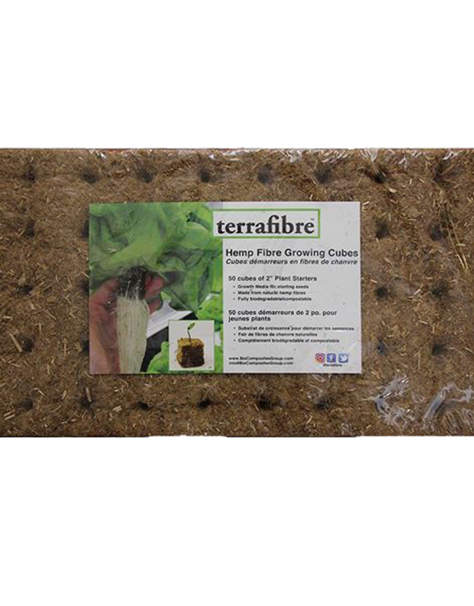 Terrafibre Growing Cubes 50 pack