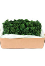 Reindeer Moss Medium Bag