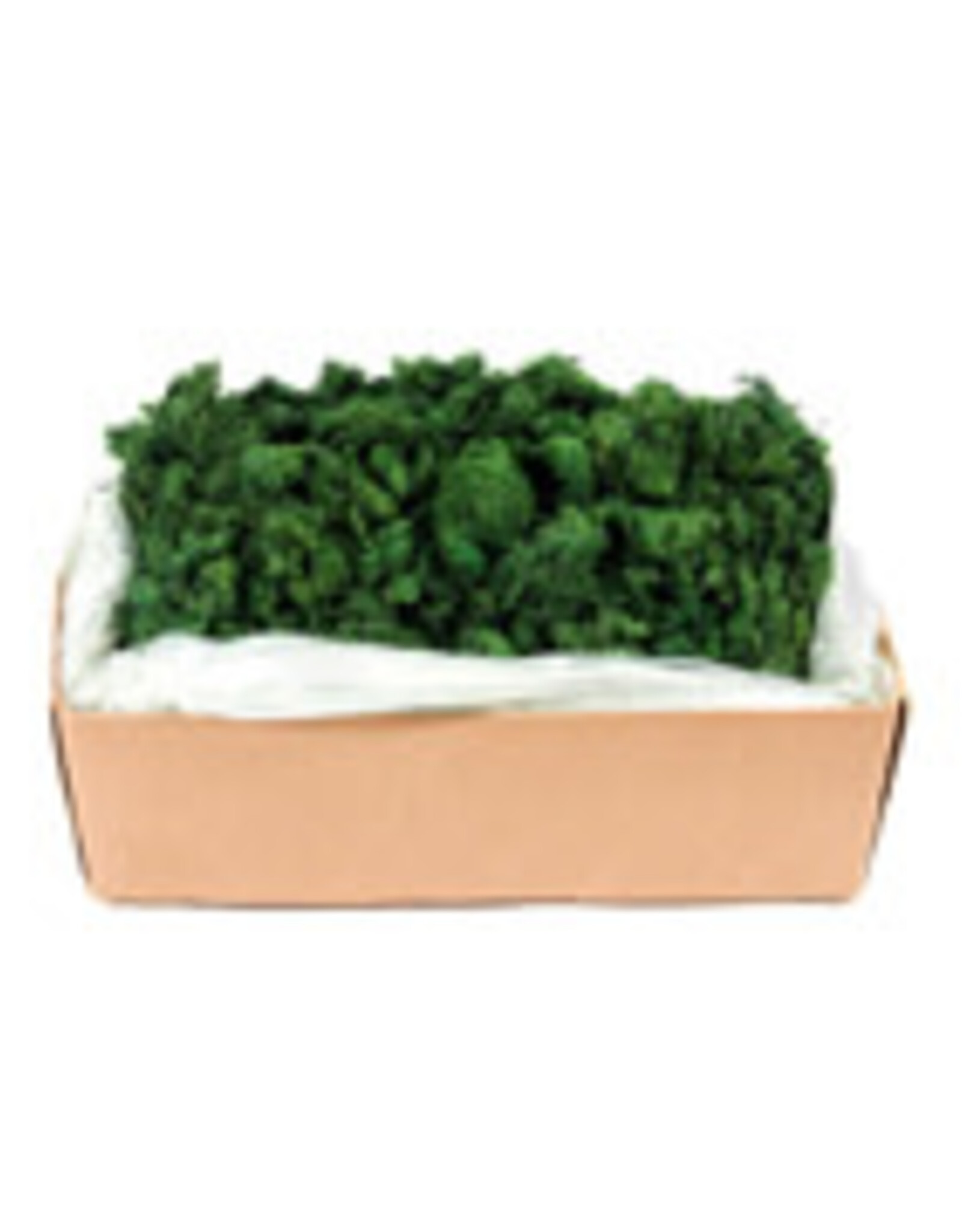 Reindeer Moss Medium Bag