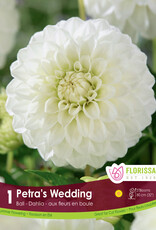 Dahlia Ball Petras Wedding - Package of 1