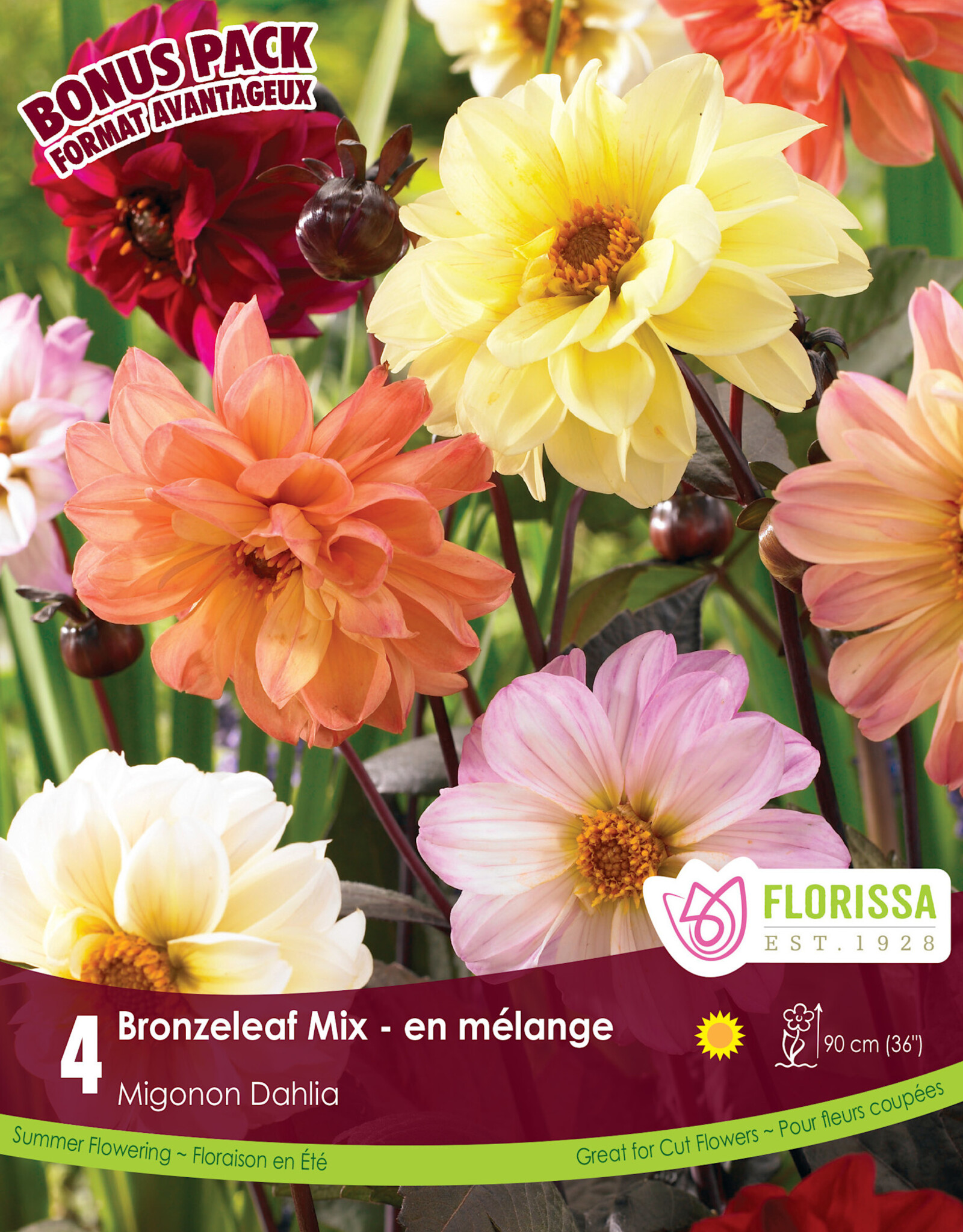 Dahlia Bronze Leaf Mix - Package of 1
