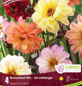 Dahlia Bronze Leaf Mix - Package of 1