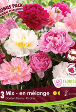 Peony Mix Pkg 3