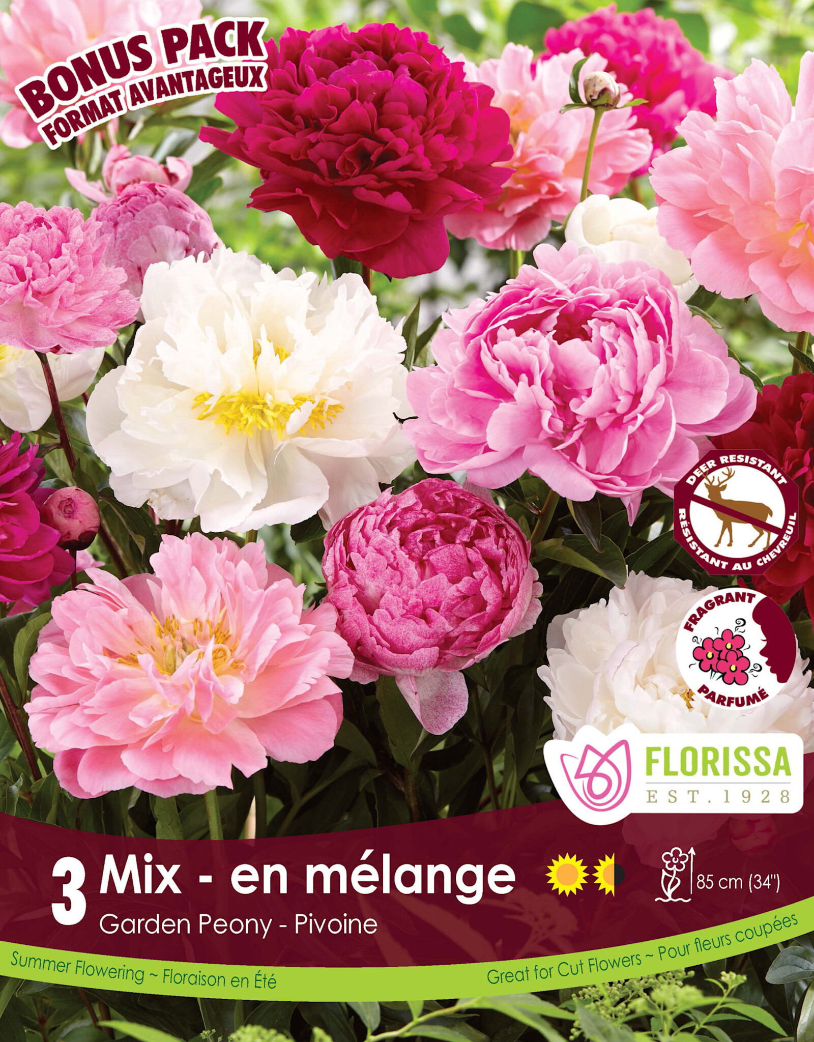 Peony Mix Pkg 3