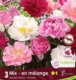 Peony Mix Pkg 3