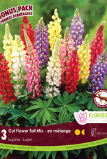 Lupine Tall Mix Pkg 3