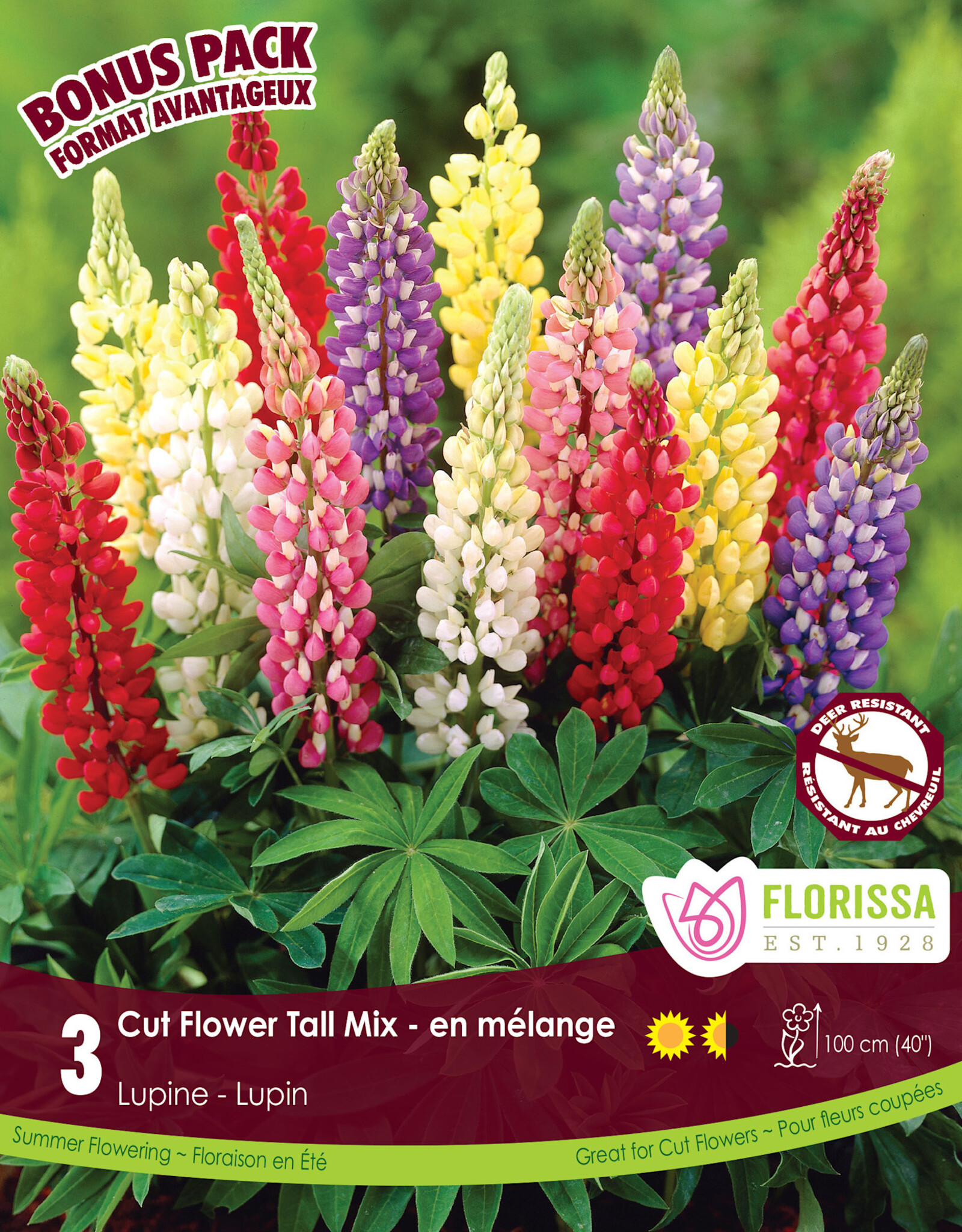 Lupine Tall Mix Pkg 3
