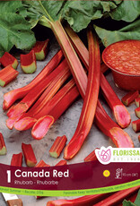 Rhubarb Canada Red - Package of 1