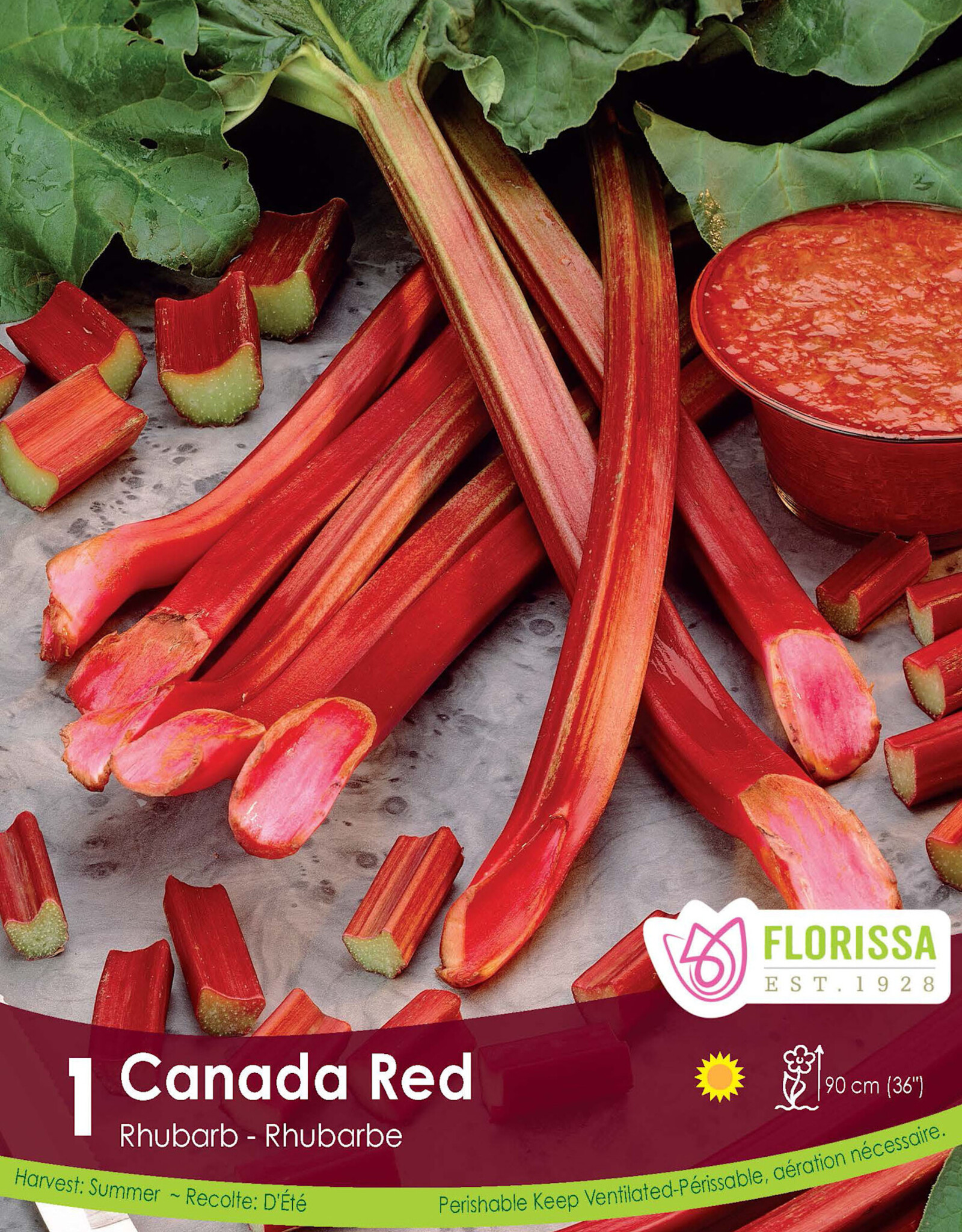 Rhubarb Canada Red - Package of 1