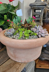 Succulent Arrangement Round Large 100