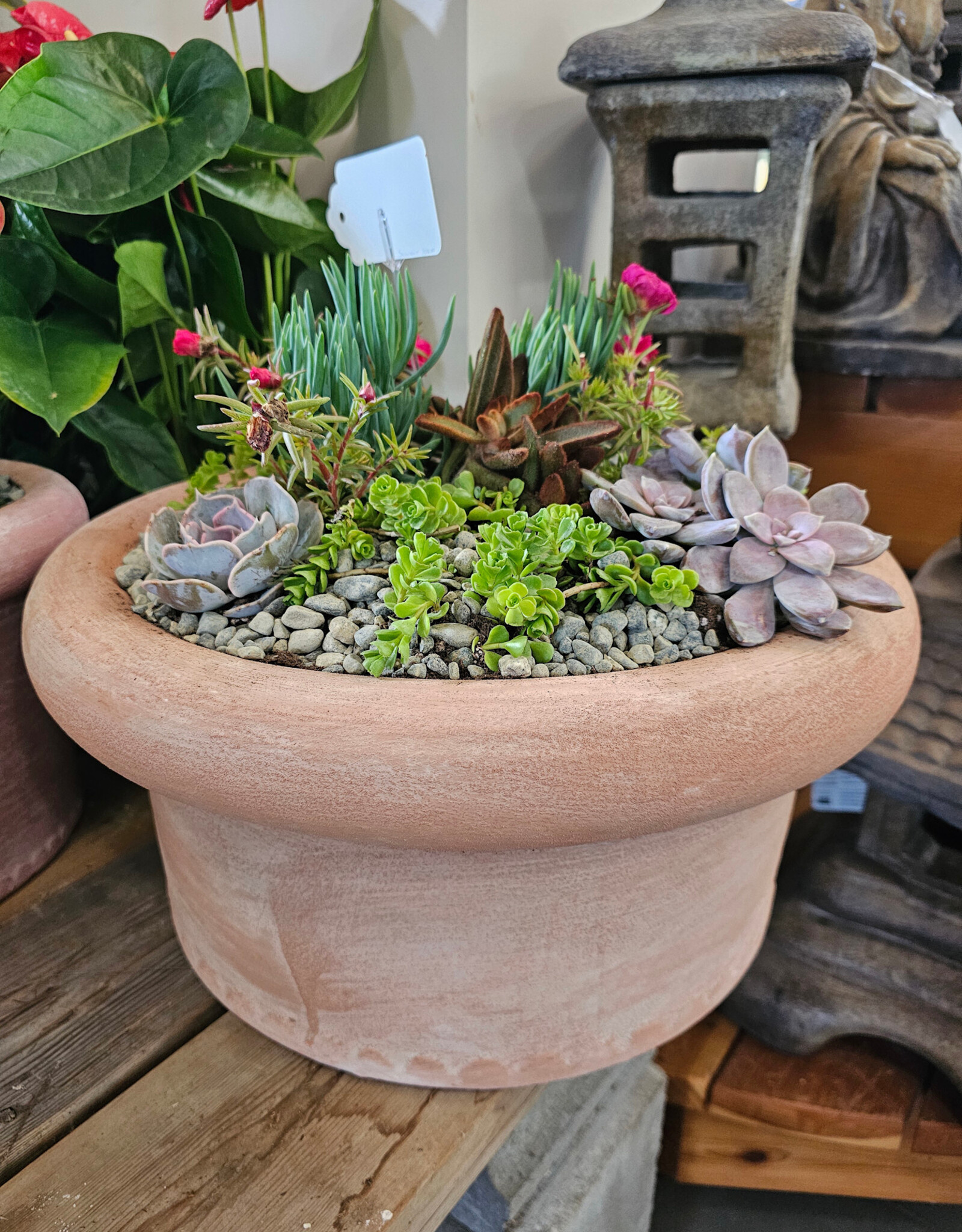 Succulent Arrangement Round Large 100