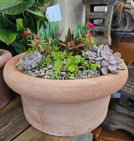 Succulent Arrangement Round Large 100