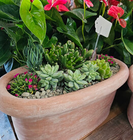 Succulent Arrangement Large 75