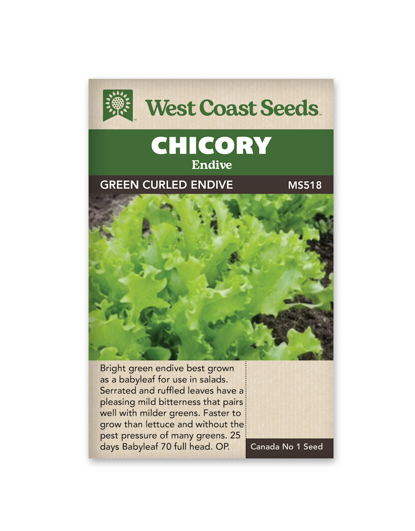Chicory - Green Curled Endive